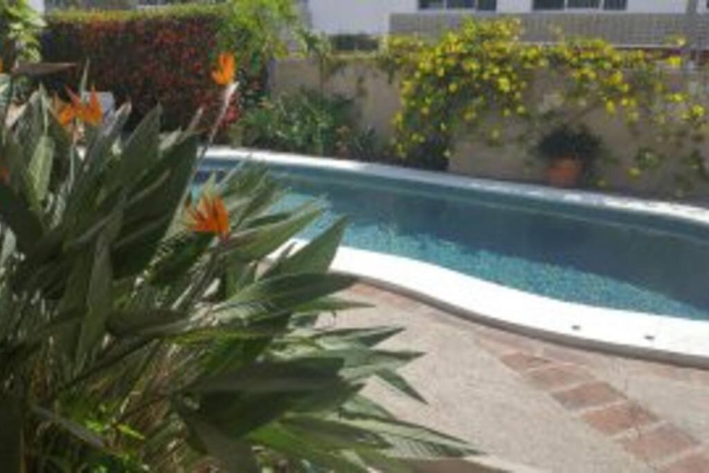 Doña Licha. Apartment p/4 pers. a 50 m del mar. Mazatlán Exterior foto